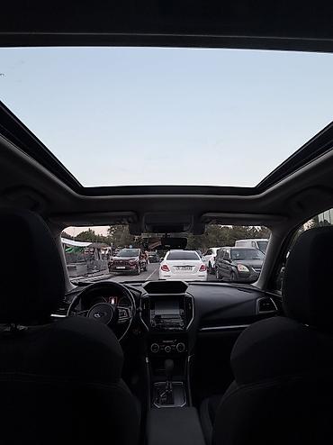 outback 2008: Subaru Forester: 2019 г., 2.5 л, Автомат, Бензин, Кроссовер — 10