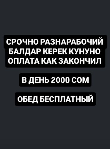 работа в бишкеке для студентов без опыта: Требуется Разнорабочий, Оплата Ежедневно, 1-2 года опыта