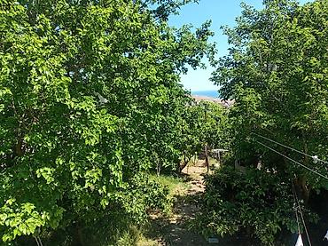 Həyət evləri və villaların satışı: Badamdar qəs. 6 otaqlı, 140 kv. m, Kredit yoxdur, Orta təmir — 4