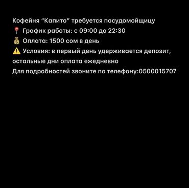 официант ищу работу: Требуется Посудомойщица, Оплата Ежедневно
