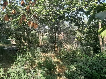 Həyət evləri və villaların satışı: 6 otaqlı, 200 kv. m, Kredit yoxdur, Orta təmir -da lalafo.az — 13 Həyət evləri və villaların satışı: 6 otaqlı, 200 kv. m, Kredit yoxdur, Orta təmir — 13