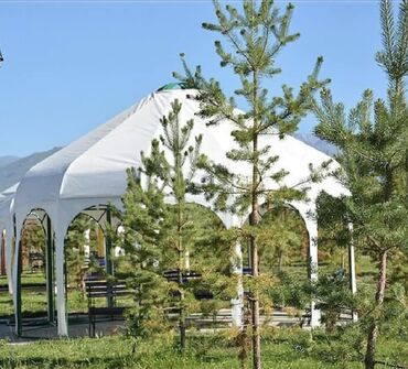 Иссык-Куль 2025: Продается коттедж на Иссык-Куле на красной книге, в селе Кожояр — 10