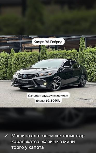 225 75 16c: Toyota Camry: 2021 г., 2.5 л, Вариатор, Гибрид, Седан — 1