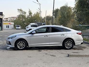 sea lion byd: Hyundai Sonata: 2017 г., 2 л, Автомат, Газ, Седан — 4