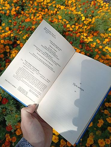 Книги и журналы: Русская литература, 11 класс, Новый, Платная доставка — 2