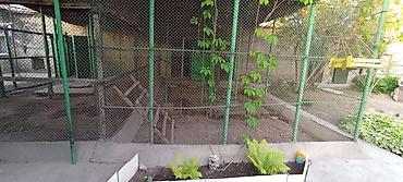 Продажа коттеджей и домов: Срочно продаются два дома на одном участке! Большой и маленький дома — 11