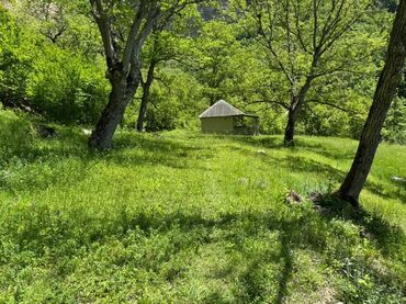 Torpaq sahələrinin satışı: 20 sot, Mülkiyyətçi, Müqavilə — 4