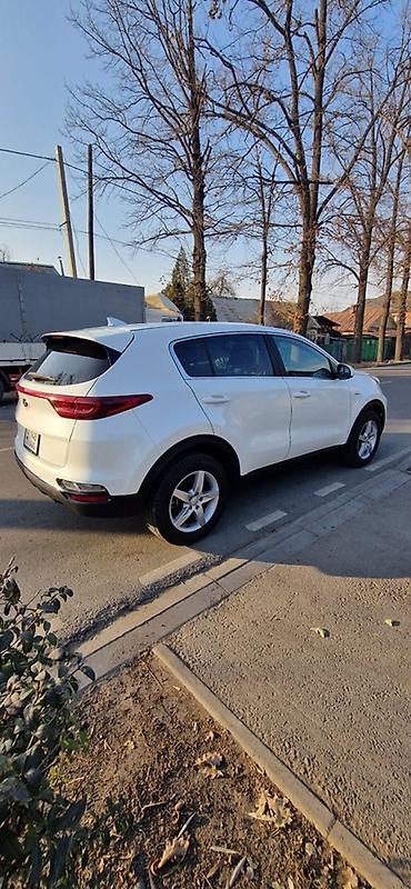 2022: Kia Sportage: 2022 г., 2.4 л, Автомат, Бензин, Кроссовер — 6
