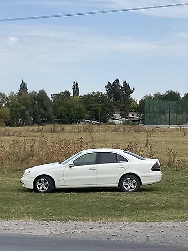 купить авто за миллион: Mercedes-Benz E-Class: 2003 г., 2.2 л, Автомат, Дизель, Седан — 3