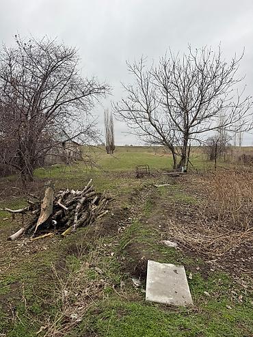 Продажа участков: 40 соток, Для сельского хозяйства, Красная книга — 3