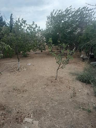 Həyət evləri və villaların satışı: Həyətyanı ev – həyət və iç sahələr - Üstü örtülü eyvanlı, darvazalı — 10