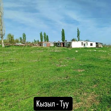 город каракол: Кошара, 50 соток, Действующий, Без оборудования, Электричество — 1