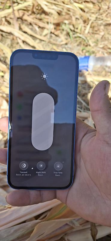 Мобильные телефоны: IPhone 13, Б/у, 128 ГБ, Синий, Чехол, 85 % — 3