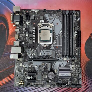 Видеокарты: Материнская плата, Asus, LGA1151 v2, Для ПК