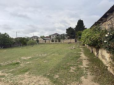 Torpaq: 17 sot, Tikinti, Kupça (Çıxarış) — 8