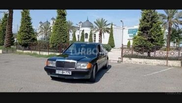 badamdar masin bazari: Mercedes-Benz 190: 2 l | 1990 il Sedan