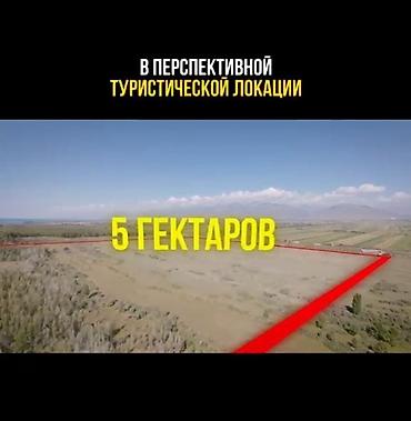 гостиница на иссык куле: 500 соток, Для бизнеса — 4