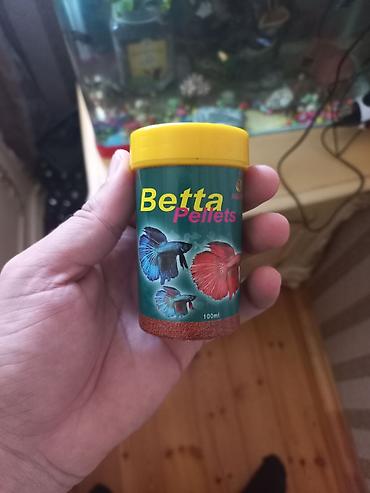 skalari: Betta Pellets – betta (siam döyüşkən) balıqları üçün qranul yem. - — 1