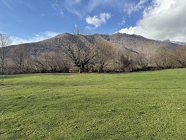 Torpaq sahələrinin satışı: 35 sot, Mülkiyyətçi — 10