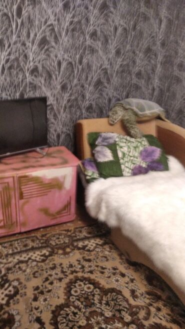 снять квартиру долгосрочно: 12 м², С мебелью