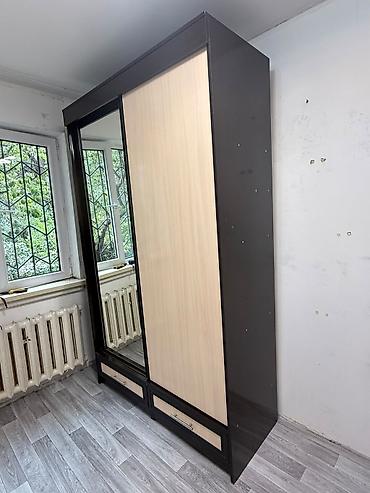 standing mirror: Шкаф-купе с зеркалом, двухдверный. - Корпус в темном оттенке, фасады — 2