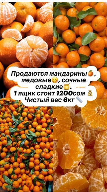 фруктовые букеты: Мандарины Оптом