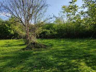 Torpaq sahələrinin satışı: 12 sot, Tikinti, Mülkiyyətçi, Kupça (Çıxarış) — 6