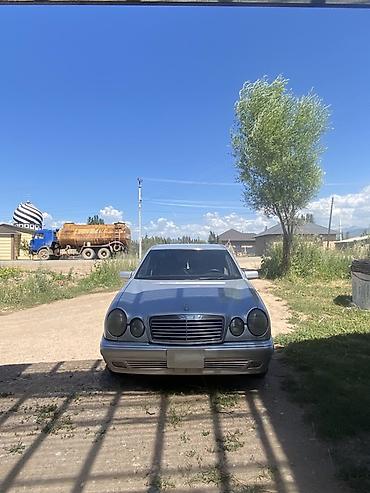 daf 95: Mercedes-Benz E-Class: 1996 г., 2.3 л, Механика, Бензин, Седан — 7