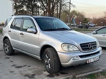 Mercedes-Benz ML-Class: 2003 г., 2.7 л, Автомат, Дизель, Кроссовер
