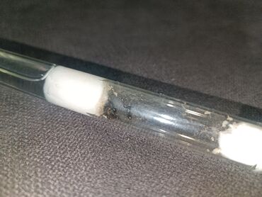 Другие животные: Муравьи tetramorium caespitum, с большим расплодом, в пробирке 10