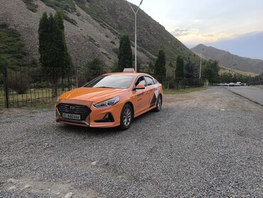 Hyundai: Hyundai Sonata: 2019 г., 2 л, Автомат, Газ, Седан