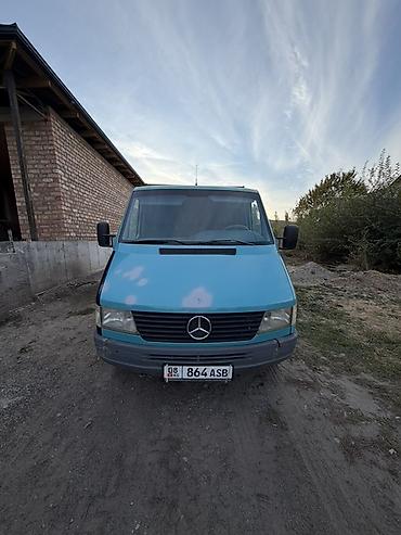 гур 124: Mercedes-Benz Sprinter бортовой грузовик - Кабина: двухдверная, 3 — 1