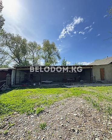 кашао: 🏠Продается дом в с. Беловодское КАШАР прилагающий 30 соток ( сад ) — 2