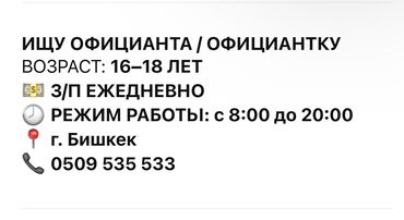 ищу работу в ночь: Талап кылынат Официант Тажрыйбасыз, Төлөм Күнүмдүк