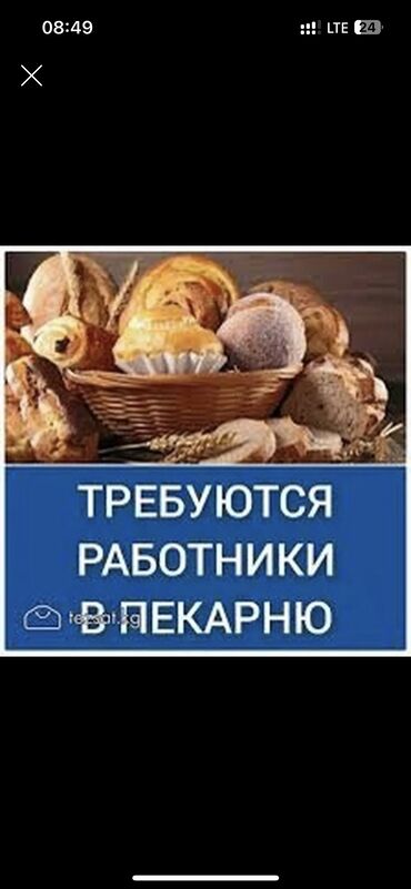 пекарь бишкек: Талап кылынат Төлөм Күнүмдүк, Тажрыйбасыз