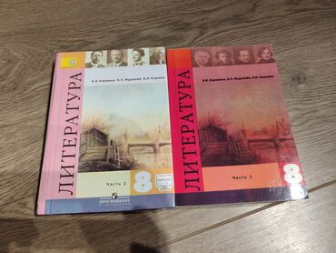 горки для гостиной: 2 части книги по литературе за 8 класс В.Я коровина. Каждая по 325с
