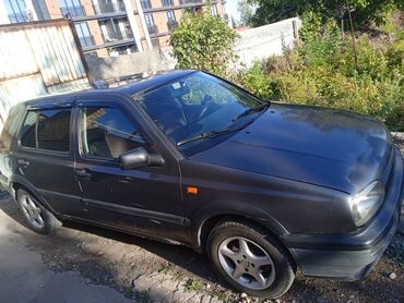 Volkswagen: Volkswagen Golf: 1993 г., 1.8 л, Механика, Бензин, Хэтчбэк