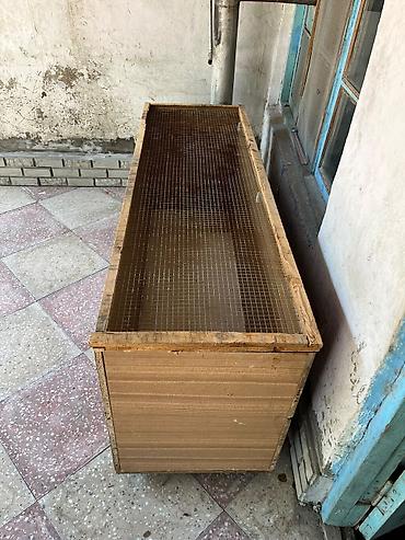 Домики: Taxta toyuq/broyler civcivləri üçün böyütmə qutusu (brooder) — 4