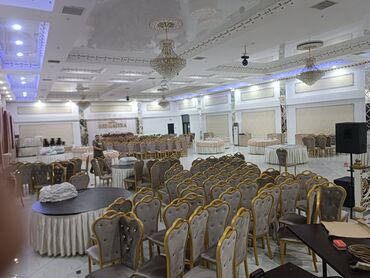 Стулья для кафе, ресторанов: Стул для ресторанов и много другое — 19