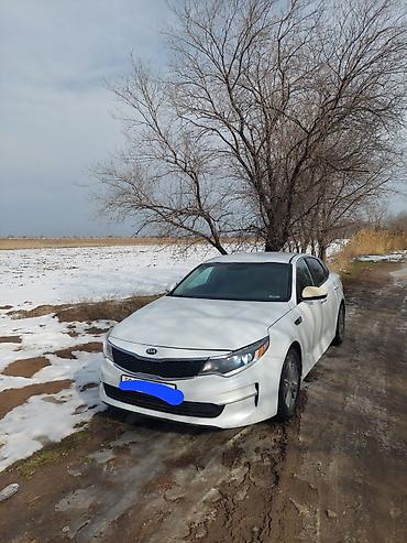 Kia: Kia Optima: 2017 г., 1.6 л, Автомат, Бензин, Седан — 5