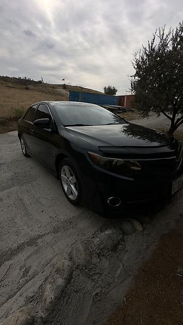 стеклопод: Toyota Camry: 2014 г., Седан — 3