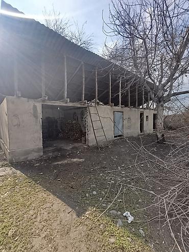 Продажа коттеджей и домов: 📌В селе центре Беловодское продается добротный дом из 4-х комнат на — 13