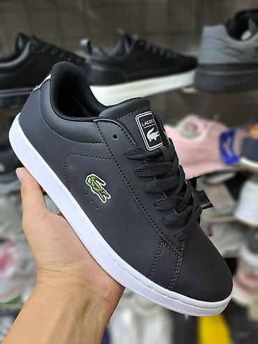 crocs 40: Мужские кроссовки, 40, Lacoste, Новый — 3