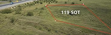 saray torpag: 119 sot Tikinti, Su, İşıq — 1