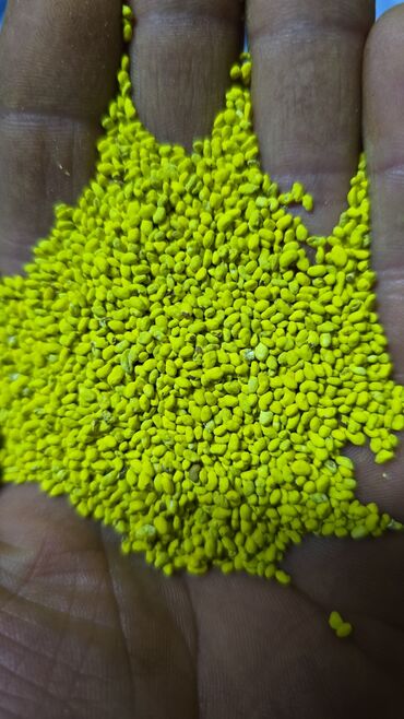 Кормовые растения: Семена кормовых растений: Эспарцет, Самовывоз, Платная доставка — 9