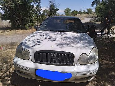e53 amg: Hyundai Sonata: 2001 г., 2 л, Автомат, Газ, Седан — 2