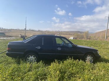 Mercedes-Benz: Mercedes-Benz W124: 1989 г., 2.3 л, Механика, Бензин, Седан — 28