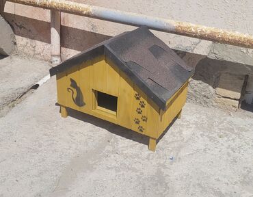 Yuvalar: Məhsul: Açıq havada istifadə üçün taxta pişik evi Təsvir: - Küçə və — 26