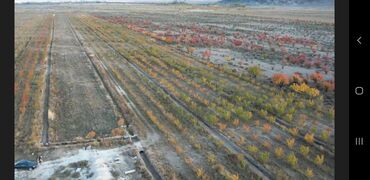 Продажа участков: 160000 соток, Для сельского хозяйства at lalafo.kg — 13 Продажа участков: 160000 соток, Для сельского хозяйства — 13