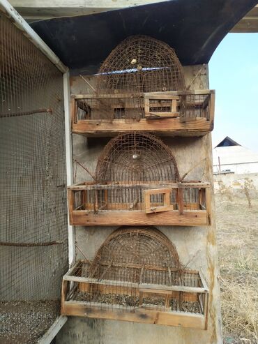 вольер для йорка in Кыргызстан | ЗООТОВАРЫ: Продам клетки с хлопушка и для ловли щеглов.реплов чижей вьюрков и